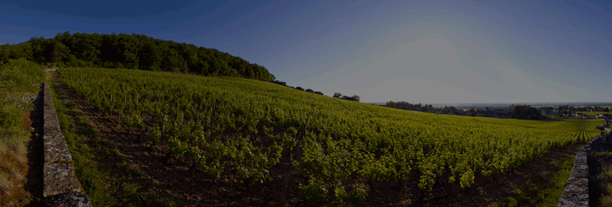 Hautes-Côtes de Beaune