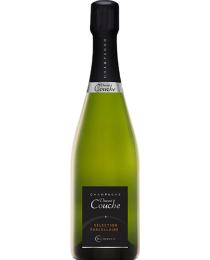 Champagne Vincent Couche