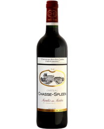 Château Chasse-Spleen 2015 Rouge